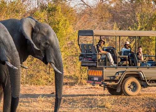 Ursulas-Homestead_Safari-Activities-88_banner